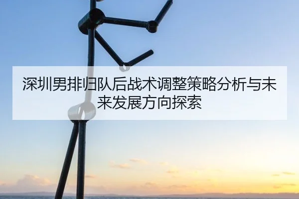 深圳男排归队后战术调整策略分析与未来发展方向探索